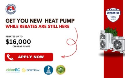 Heat Pump Grants: Maximize Your Rebates Now